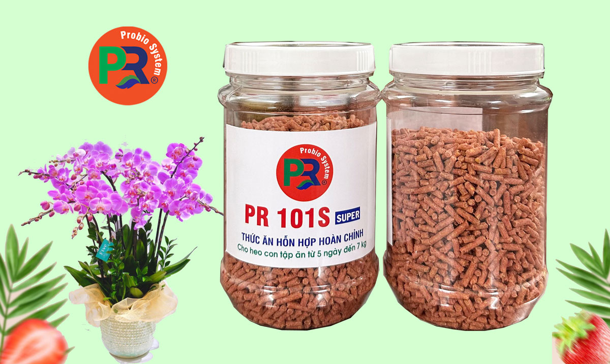 Thức ăn hỗn hợp hoàn chỉnh cao cấp cho heo con tập ăn từ 5 ngày tuổi đến 7 kg