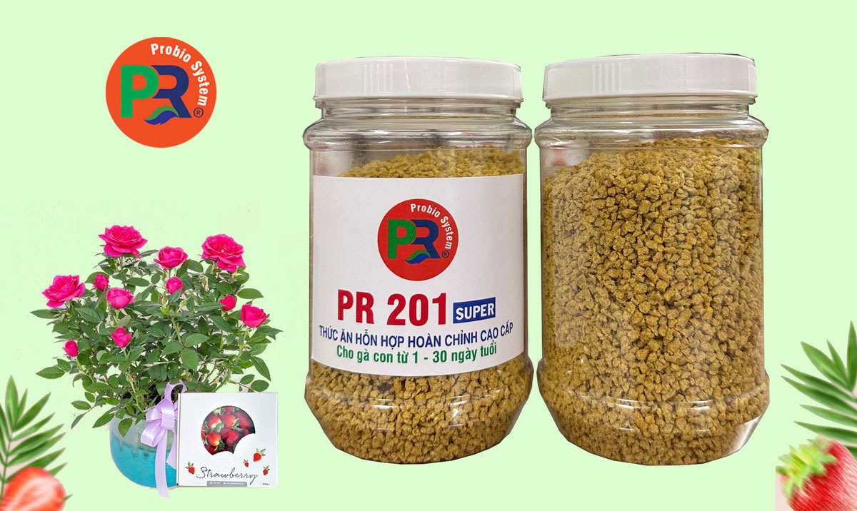 Thức ăn hỗn hợp hoàn chỉnh cao cấp cho gà con từ 1 - 30 ngày tuổi