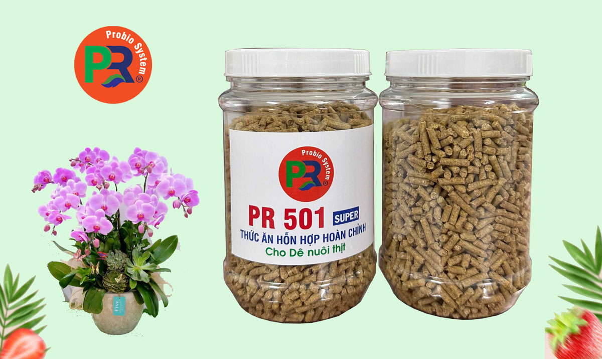 Thức ăn hỗn hợp hoàn chỉnh cao cấp cho Dê thịt